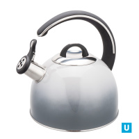 Чайник 3,0л. (серый) из нерж.стали со свистком,с ТРС, индукция арт.G099C2