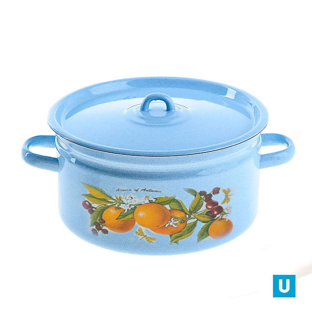 Кастрюля 5,5 литра "Фруктовая Фантазия" (С-1617/4) 