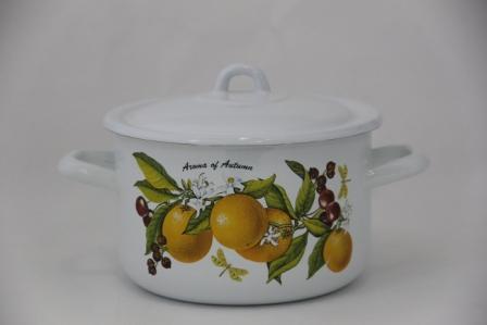 Кастрюля 2,9 литра "Фруктовая фантазия" (С-16111/4) 