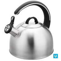 Чайник 3,0л. из нерж.стали со свистком, с ТРС, индукция арт.G099