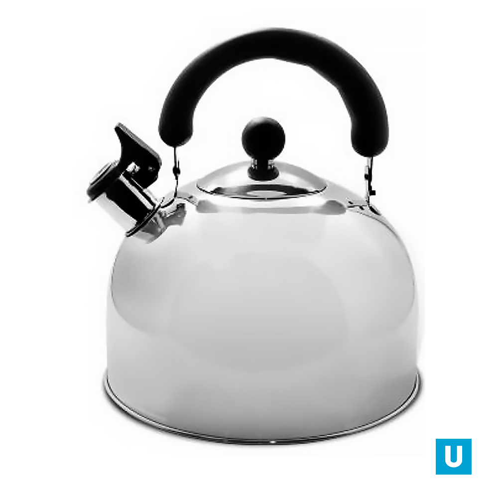 Чайник из нержавеющей стали, 5л с ТРС Капсульное 3 слойное дно Арт. HY-610-B6-5