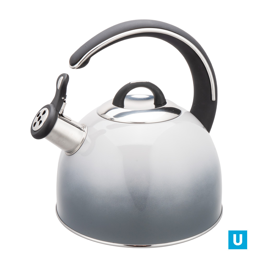 Чайник 3,0л. (серый) из нерж.стали со свистком,с ТРС, индукция арт.G099C2