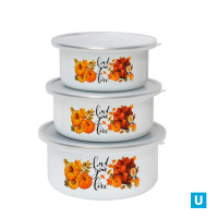 Набор контейнеров Осенняя романтика-8-079/4 (1л;1,5л;2л) для всех видов плит