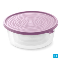 Контейнер "Сальваре" набор 0,5л; 1л; 1,7л С236КОЛ Цвет в ассортименте